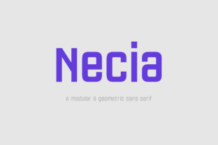 Necia Family: A Typeface for Thoughtful Design