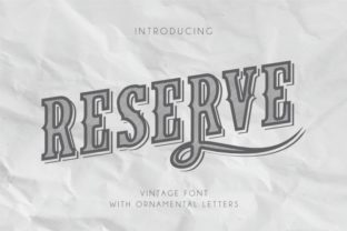 The Reserve Font: A Versatile Display Typeface for Modern Web Design
